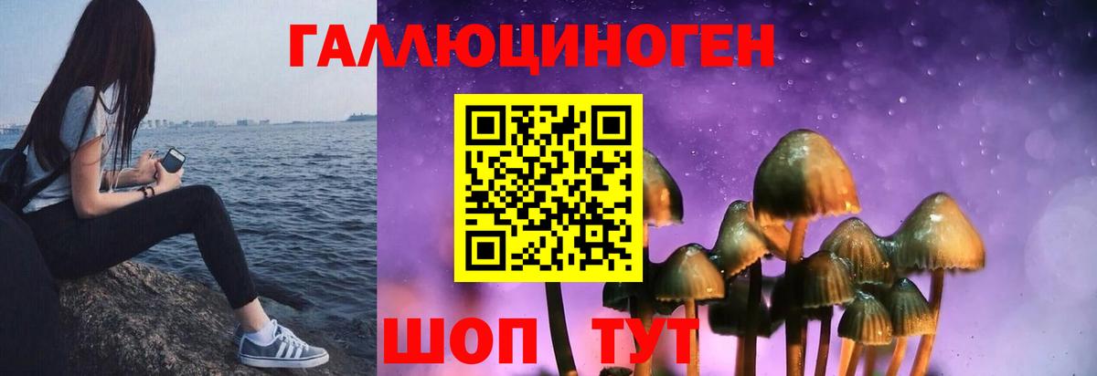 Псилоцибиновые грибы Magic Shrooms  Вход с VPN  Менделеевск  Галлюциногенные грибы MAGIC MUSHROOMS 